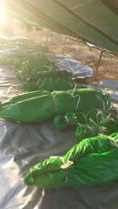 Read more about the article တနိုင်း‌မြို့နယ်တွင် စစ်ကောင်စီ ဂျက်လေယျာဥ်နဲ့ ဗုံးကြဲတိုက်ခိုက်မှုကြာင့် ဒေသခံပြည်သူ‌ထိခိုက်သေဆုံးသူများပြား