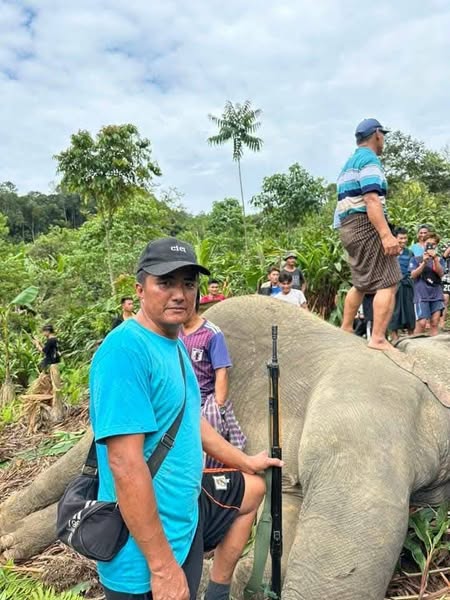 Read more about the article ပူတာအို ဒေသခံအမျိုးသမီး လေးဦး သေဆုံးခဲ့ရတဲ့ ဆင်ရိုင်းကို ပစ်သတ်