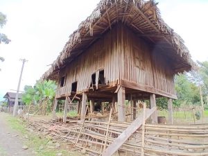 Read more about the article ပူတာအိုမှာ ဆင်ရိုင်းသောင်းကြမ်းလို့ ဒေသခံ လေးယောက်သေပြီး နေအိမ်များပျက်စီး